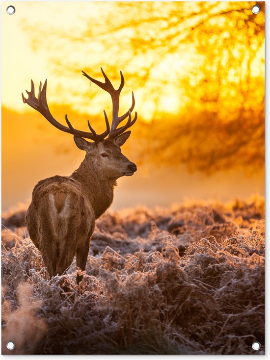 Hert - Dieren - Zonsondergang - Winter - Heide - Natuur - Tuindoek