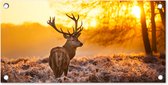 Tuinposter Hert - Dieren - Zonsondergang - Winter - Heide - Natuur - 60x30 cm - Tuindoek - Buitenposter