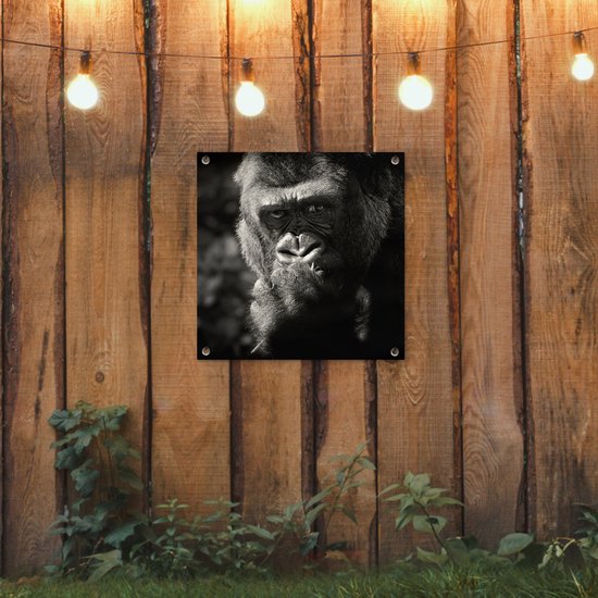 Posters de jardin Gorilla sur fond noir en noir et blanc - 50x50 cm - Toile jardin - Poster extérieur