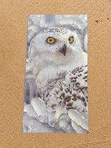 Uil Strandlaken 90*180cm Snowy Owl Sanctuary