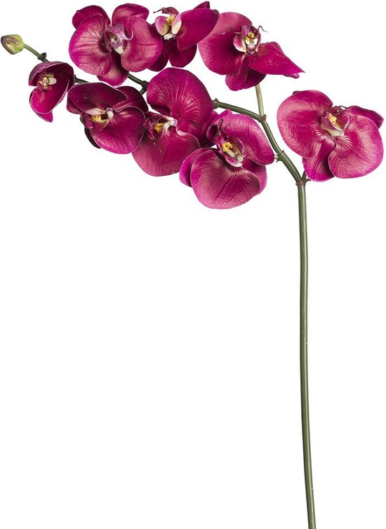 Fuchsia kunstmatige phalaenopsis orchideestam H87