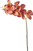 Kunstphalaenopsis orchidee stengel rood H100