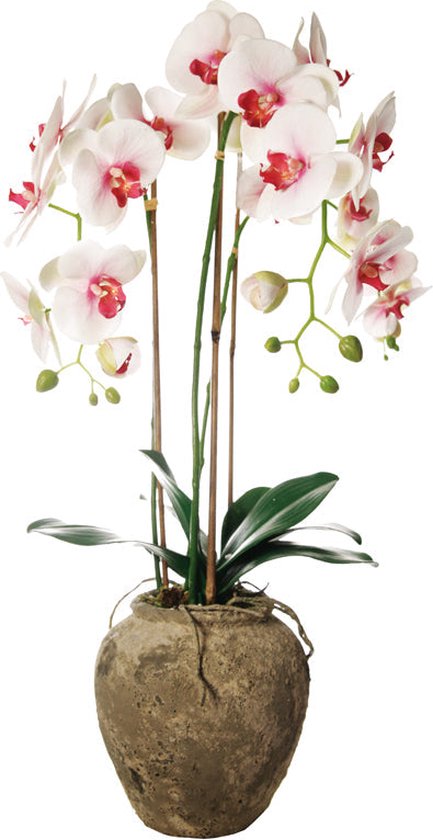 Witte en roze kunstorchidee op pot H81