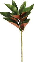 Kunstmatige groene en oranje magnoliastam H76