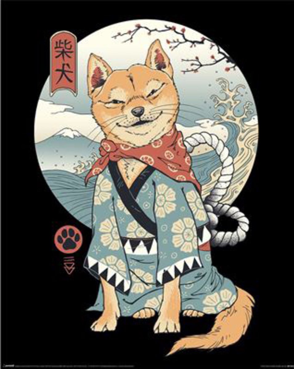 Pyramid Poster Vincent Trinidad - Shiba Inu 40x50cm Divers
