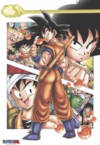 Dragon Ball Z Poster Histoire de Son Goku