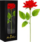 Springos Eternal Rose - Coffret cadeau - Fleur cadeau - Amour - 27 cm