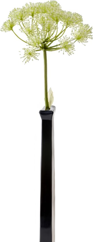 Fleur artificielle Berce du Caucase 78 cm