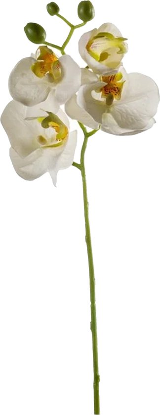 Emerald Kunstbloem Orchidee - 56 cm - wit - losse tak - kunst zijdebloem - Phalaenopsis