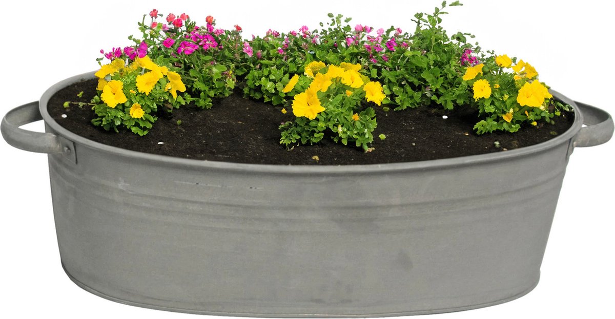 Goedkoopste Mega Collections Teil/plantenpot/bloempot Farmer - ovaal - zink - donkergrijs - L33 x D23 X H14 cm