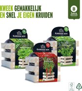 Baza Garden boxen Kruiden set 3 stuks/ FSC hout/ BIO/ cadeau idee/ binnen tuinieren