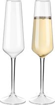 Onbreekbare Tritan plastic champagneglazen, champagneglazen, wijnglazen, 224 ml champagnefluiten voor feestjes, vaatwasmachinebestendig, set van 2