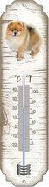 Thermomètre: Skye Terrier / race de chien / température intérieure et extérieure / -25 à + 45C