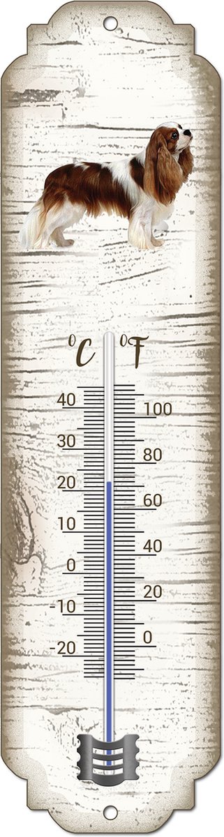 Thermometer: King Charles | Hondenras | Temperatuur binnen en buiten | -25 tot +45C