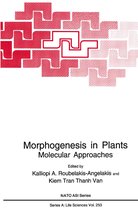 Morphogenesis in Plants: Molecular Approaches