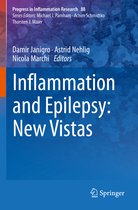 Inflammation and Epilepsy New Vistas