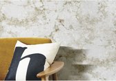 Noordwand Behang Friends & Coffee Marble Concrete grijs en metallic