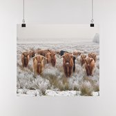 Poster Schotse Hooglanders, A0, Sunaps posterpapier