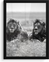 Posters zwart wit - Kader - Leeuw - Dieren - Savanne - Safari - Foto in lijst - 30x40 cm - Poster - Poster frame