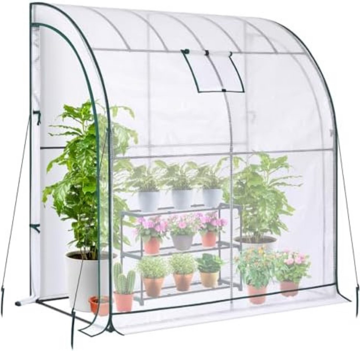 H&j - Tuinkas Broeikas Tomaten Petunia- 4.4 M² - 250 X 170 X 210 Cm