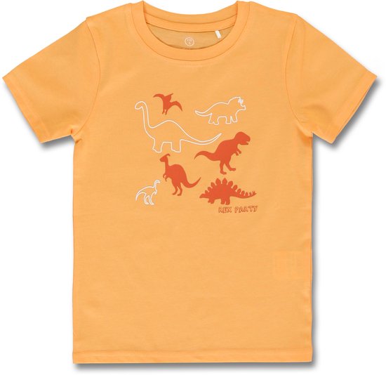 Lemon Beret t-shirt jongens - oranje - 153403 - maat 140