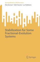 SpringerBriefs in Mathematics - Stabilization for Some Fractional-Evolution Systems