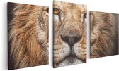 Artaza Canvas Schilderij Drieluik Leeuw - Leeuwenkop - Kleur - 120x60 - Foto Op Canvas - Canvas Print