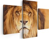 Artaza - Triptyque de peinture sur toile - Lion - Tête de lion - 90x60 - Photo sur toile - Impression sur toile