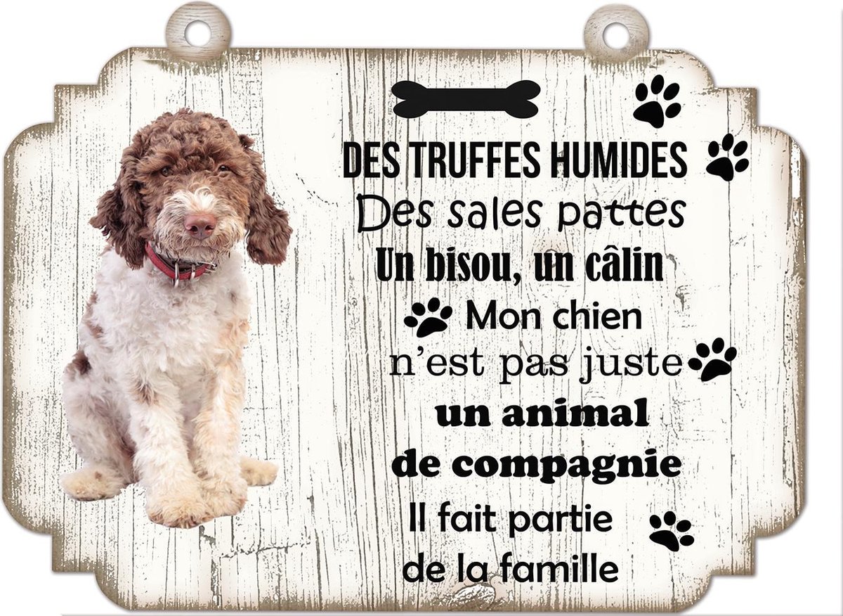 Tableau Déco - Lagotto