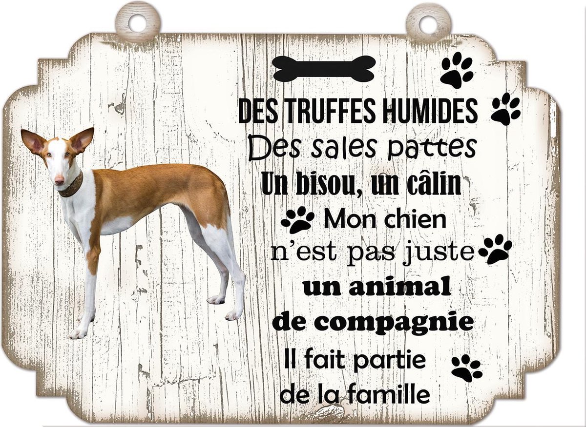 Tableau Déco - Puli