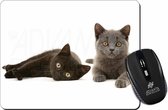 Kittens  (1 grijs /1 zwart) Muismat