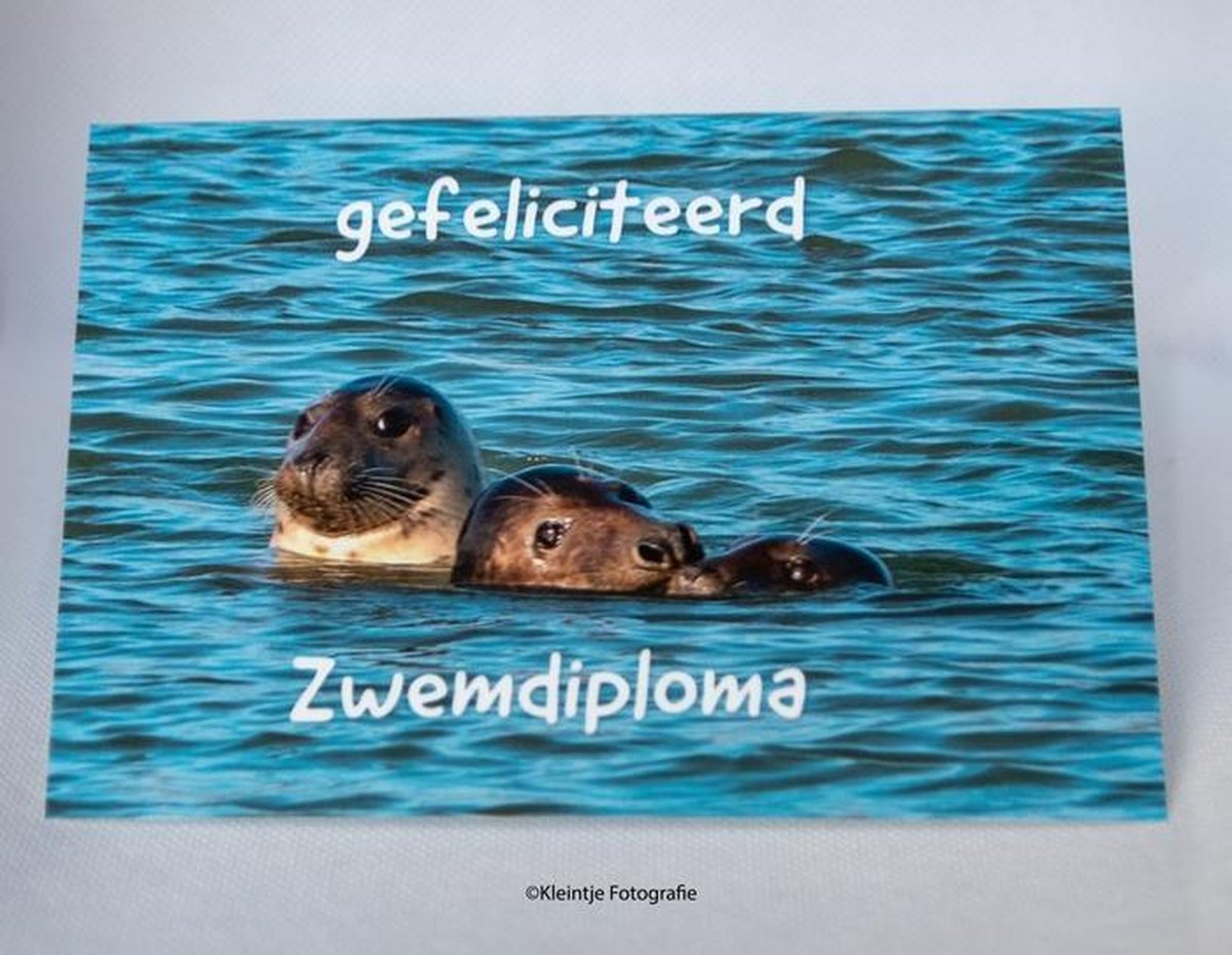 Zeehondjes Zwemdiploma – Natuurfotografie kaart | Kleintje Fotografie