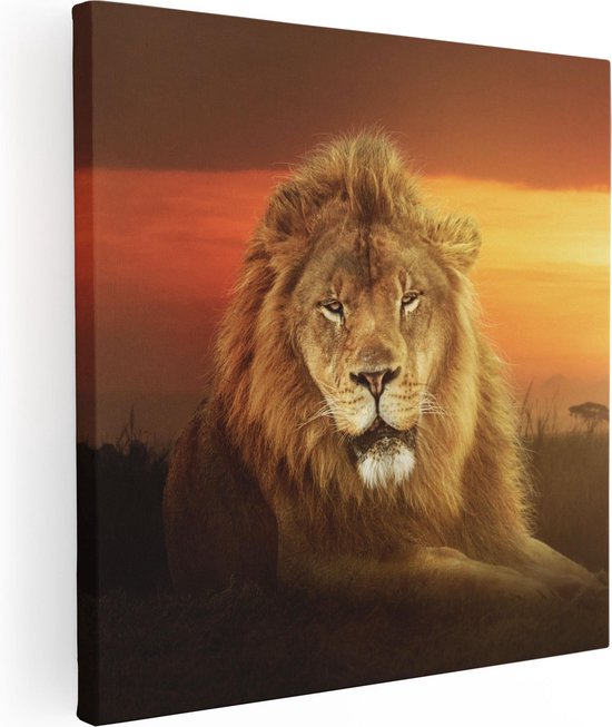 Artaza Canvas Schilderij Leeuw In De Savanne - Zonsondergang - 60x60 - Foto Op Canvas - Canvas Print