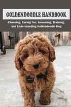 How To Train A Goldendoodle, Basic Obedience Training For Goldendoodle, Advanced Gun Dog Training For A Goldendoodle, How To Socialise A Goldendoodle,