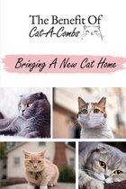 The Benefit Of Cat-A-Combs: Bringing A New Cat Home