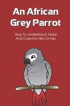 An African Grey Parrot: How To Understand, Feed And Care For Him Or Her