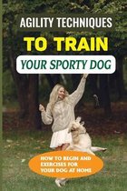 Agility Techniques To Train Your Sporty Dog: How To Begin And Exercises For Your Dog At Home