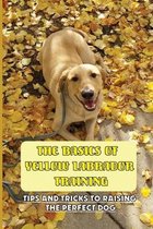 The Basics Of Yellow Labrador Training: Tips And Tricks To Raising The Perfect Dog