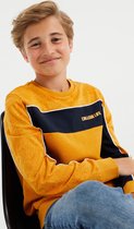 WE Fashion Jongens T-shirt met colourblock