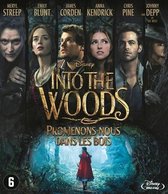 INTO THE WOODS BRD