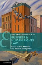 Cambridge Companions to Law-The Cambridge Companion to Business and Human Rights Law