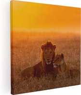 Artaza Canvas Schilderij Leeuw En Leeuwin Tijdens Zonsondergang - 60x60 - Foto Op Canvas - Canvas Print