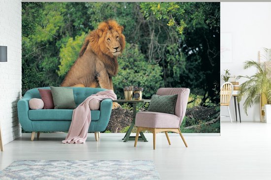 Fond d' écran - Papier peint photo - Lion se trouve sur une branche au milieu de la nature - Largeur 330 cm x hauteur 220 cm