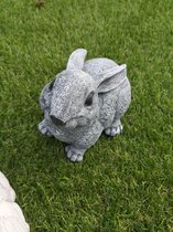 konijn set 3 stuks beton beeld winterhard 10cm hoog konijnen konijntje decoratie