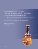 Montreal Museum of Fine Arts, Collection of Mediterranean Antiquities, Vol. 1, the Ancient Glass: MusÃ©e Des Beaux-Arts de MontrÃ©al, La Collection Des