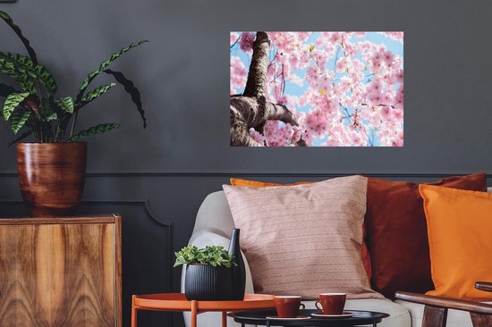 Stickers muraux - Film autocollant - Fleurs - Sakura - Arbre - 60x40 cm - Film adhésif - Stickers muraux muraux Chambre d'enfant - Papier peint autocollant - Papier peint autocollant - Film autocollant