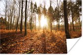 Herfstzon schijnt door de bomen bij een zonsondergang Poster 180x120 cm - Foto print op Poster (wanddecoratie woonkamer / slaapkamer) / Zon Poster XXL / Groot formaat!
