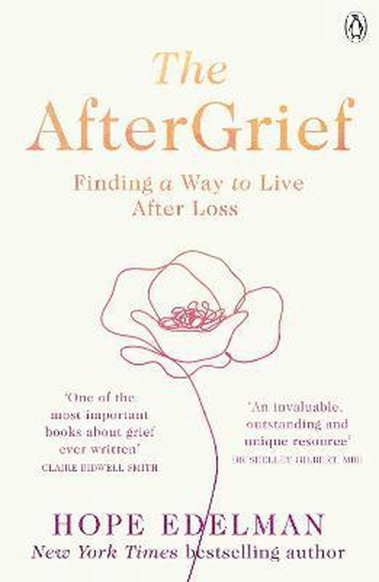 The AfterGrief - cover