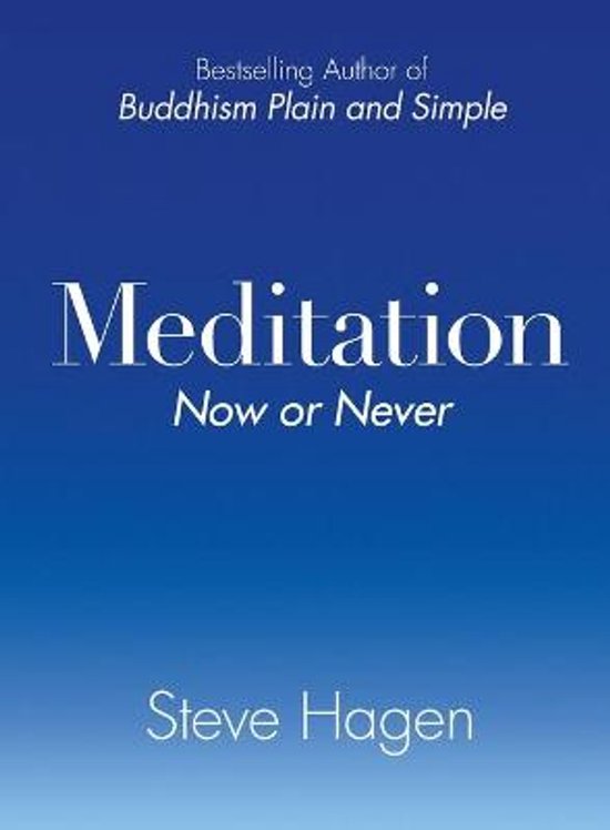 Boek 'Meditation Now or Never' door Steve Hagen, met blauwe achtergrond.