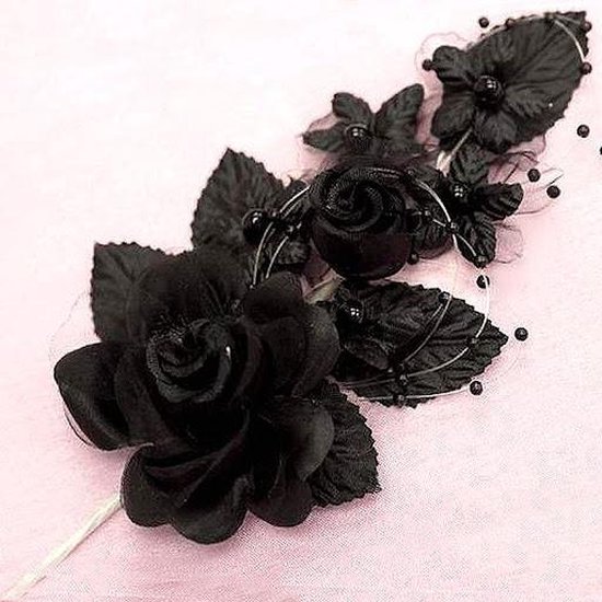 Rozentak c.q. corsage, haar- of antennedecoratie zwart - roos - rozentak -  corsage - bloem | bol.com